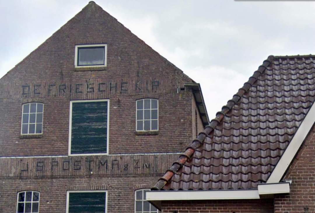 De Friesche Kip - Holwerd