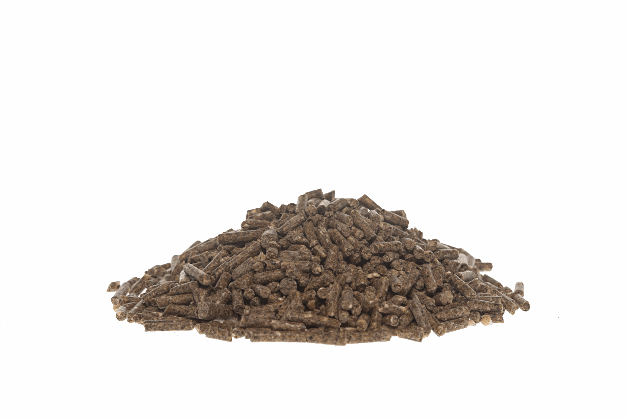 Lammerenkorrel