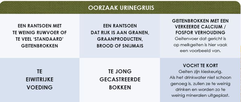 Oorzaak urinegruis bokken Oorzaak urinegruis bokken